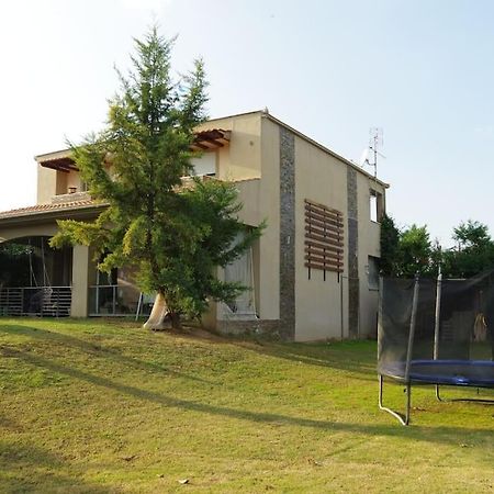 Villa Vasili Trikala  Bagian luar foto