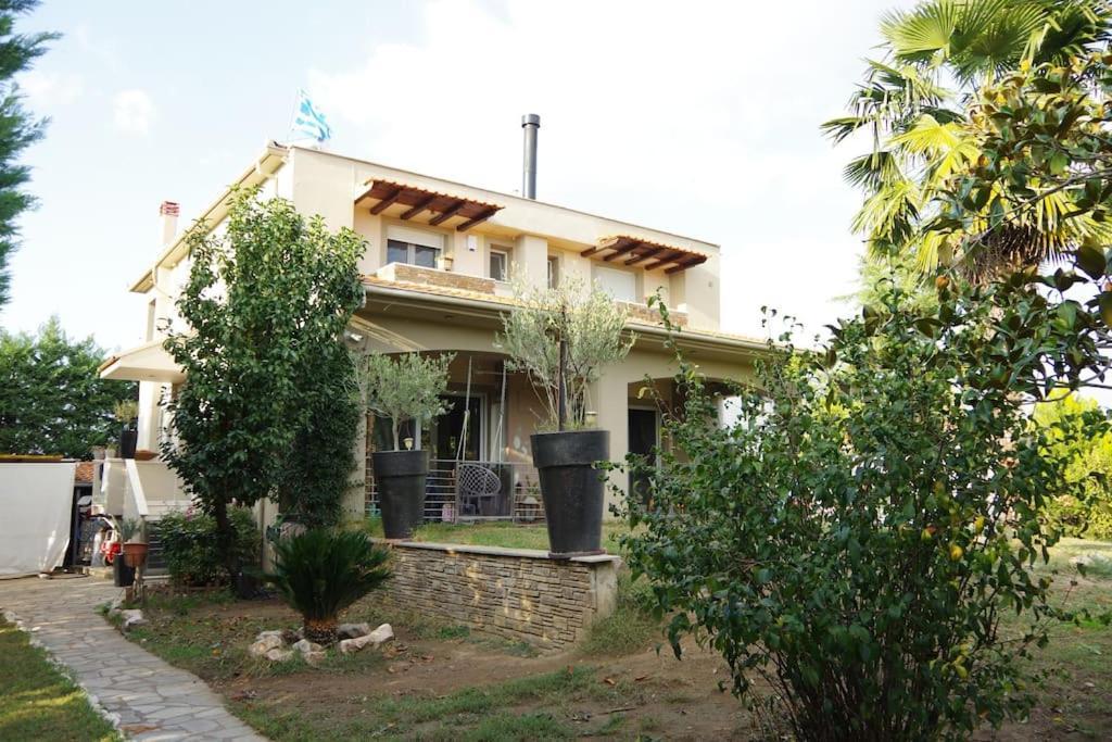 Villa Vasili Trikala  Bagian luar foto