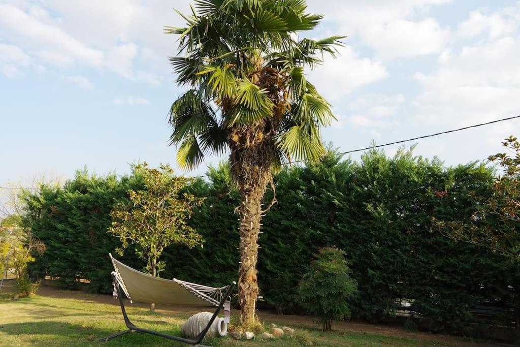 Villa Vasili Trikala  Bagian luar foto